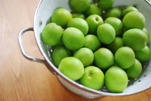 無農薬青梅予約開始