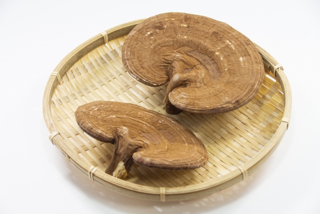 健康酢・限定ビワミンに配合される霊芝